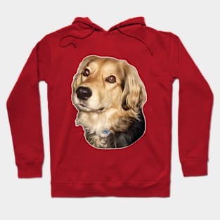 I love mix dogs 2 Hoodie